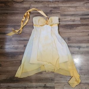 Bebe silk lined dress